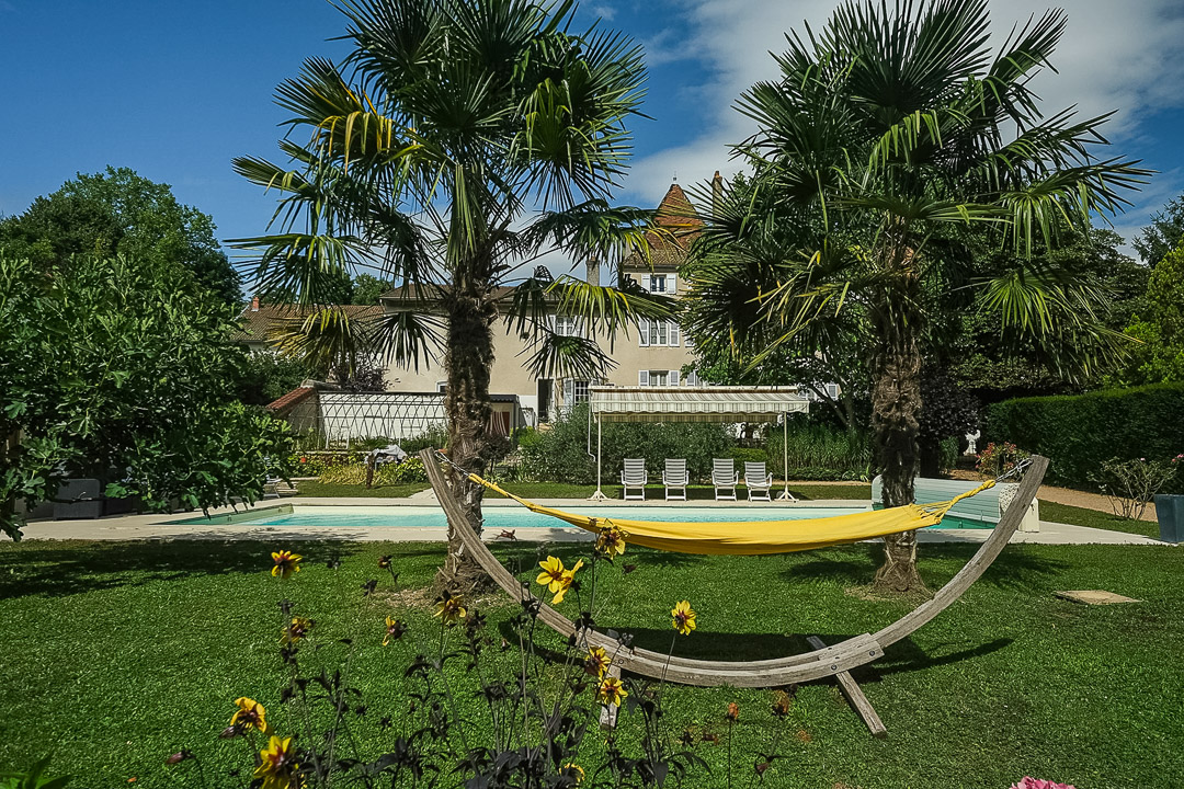 Piscine chauffée entourée de palmiers dans le parc arboré d'une maison bourgeoise à La Roche-Vineuse.