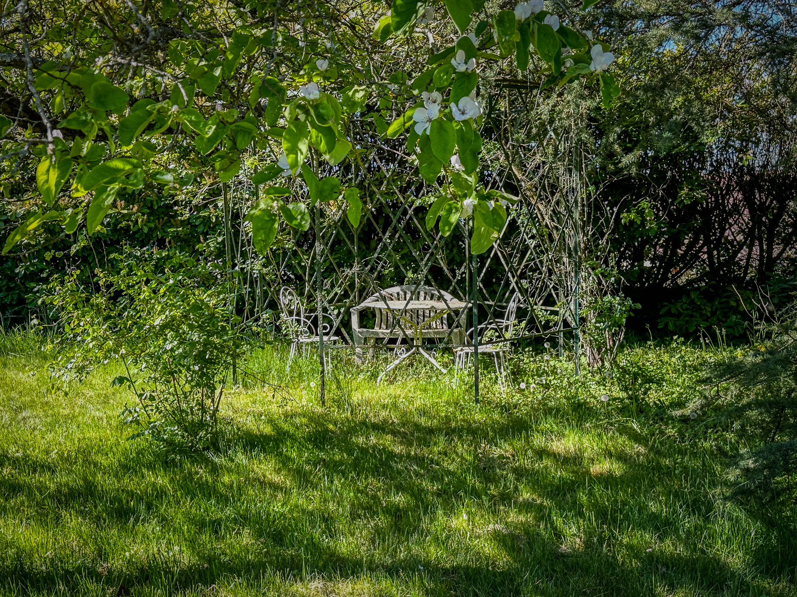 Jardin arboré d’une maison ancienne en Bourgogne