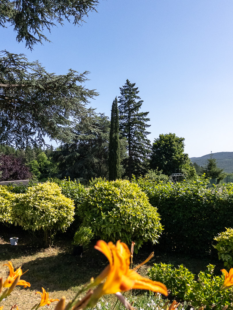 Parc arboré avec vue dégagée sur les collines du Charolais.